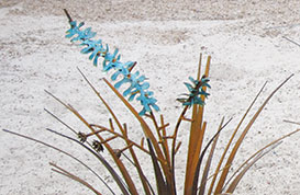 Copper Yucca