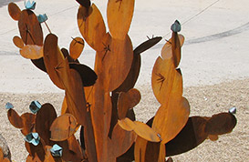 Black Mountain Prickly Pear