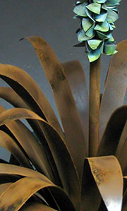 Flora and Fauna Gallery