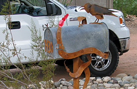 Snake Medicine Mailbox